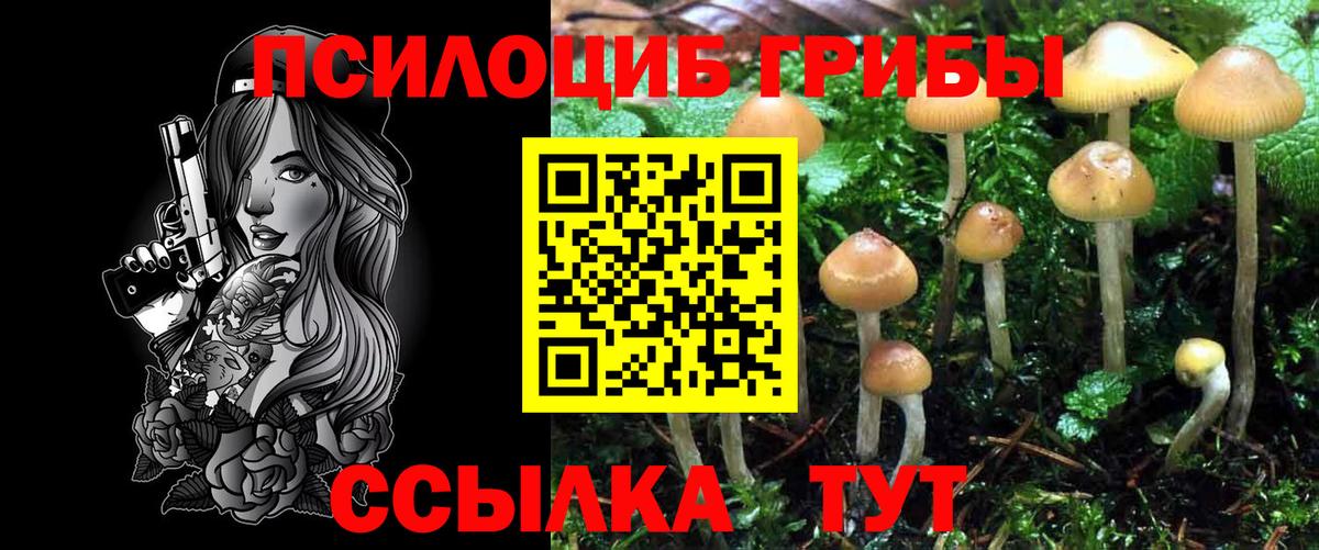Холмск  Галлюциногенные грибы ЛСД  Вход с VPN 