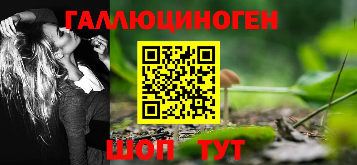 Псилоцибиновые грибы мицелий Холмск